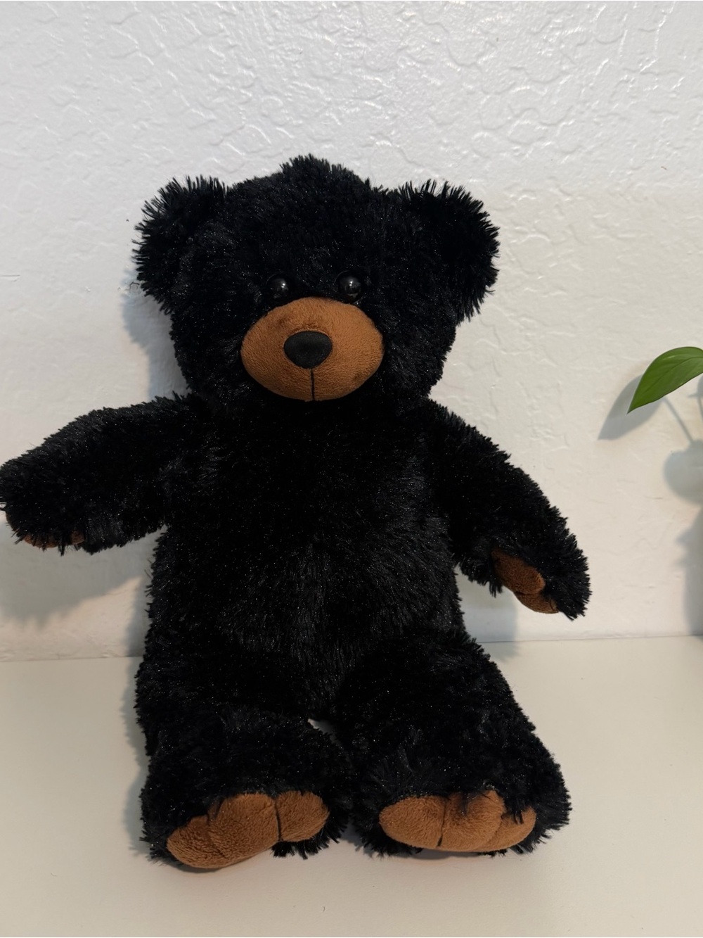 2001 The Bear Factory Black Plush Bear Secret Storage Hide your Valuables 12"